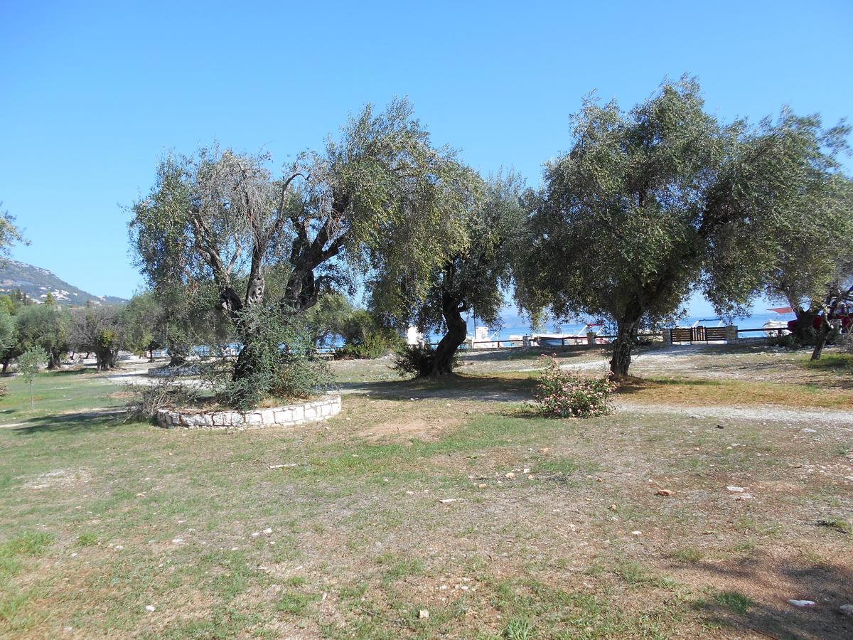 فيلا Lukia Barbati Mare المظهر الخارجي الصورة