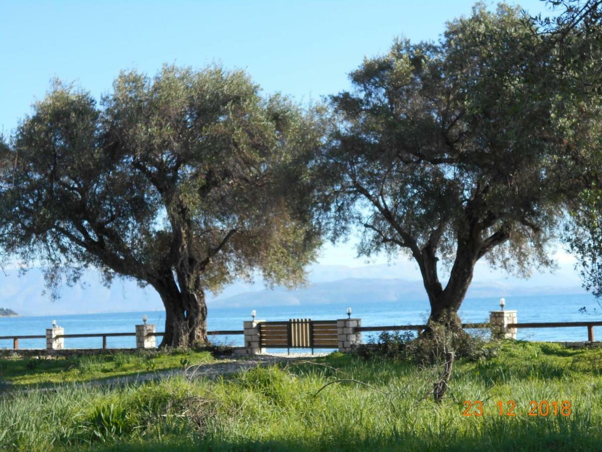 فيلا Lukia Barbati Mare المظهر الخارجي الصورة